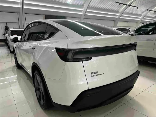 Tesla Model Y — Фото автомобиля 18