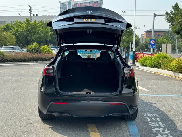 Tesla Model Y — Фото автомобиля 11