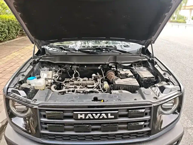 Haval Big Dog — Фото автомобиля 19