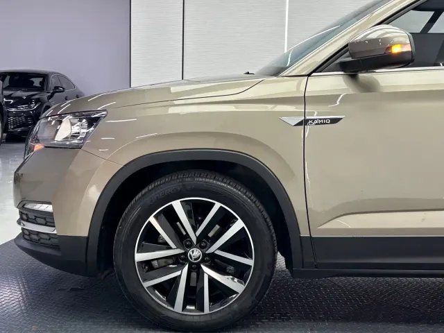 Skoda Kamiq — Фото автомобиля 8