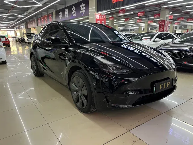 Tesla Model Y — Фото автомобиля 2