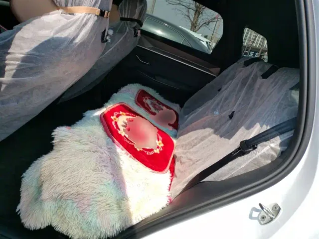 BYD Song Pro — Фото автомобиля 16