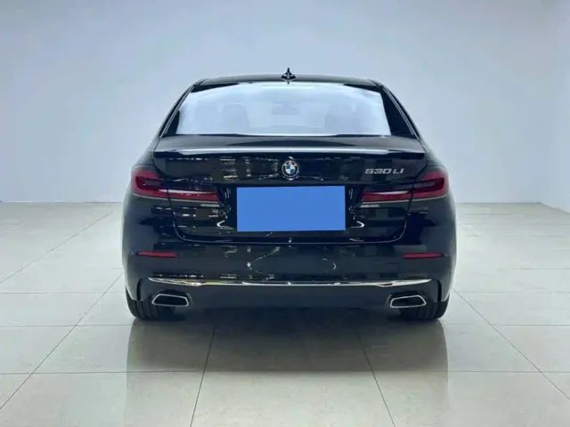 BMW 5 Series — Фото автомобиля 5