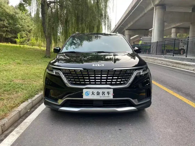Kia Carnival — Фото автомобиля 3