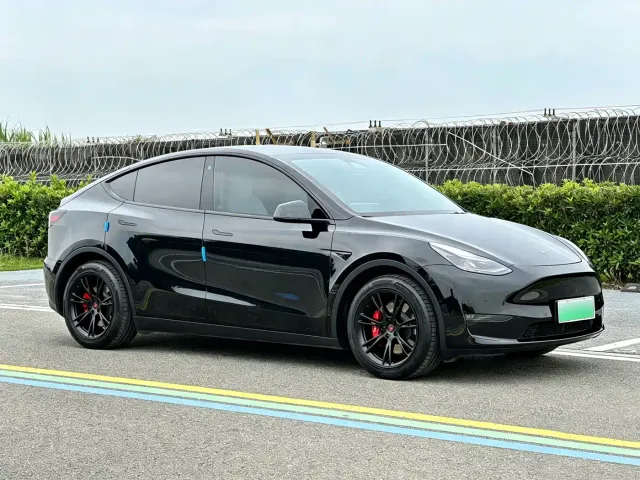 Tesla Model Y — Фото автомобиля 3