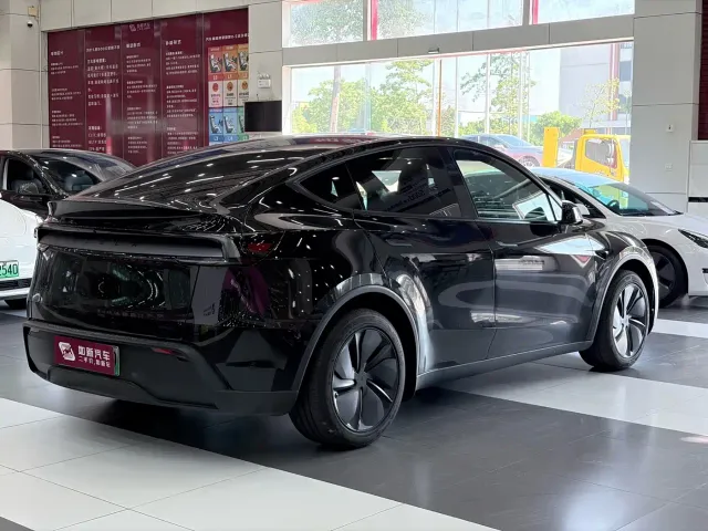 Tesla Model Y — Фото автомобиля 9