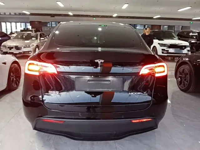 Tesla Model Y — Фото автомобиля 5