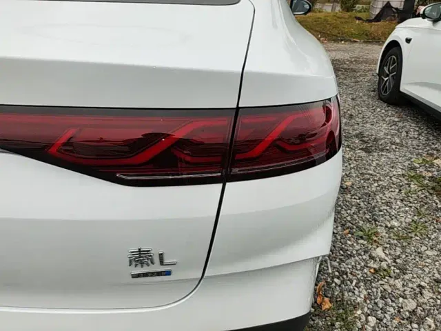 BYD Qin L — Фото автомобиля 7