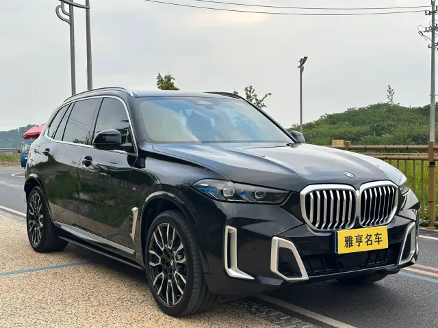 BMW BMW X5 2023 xDrive 40Li M Sport Black Night Package — Фото автомобиля 3