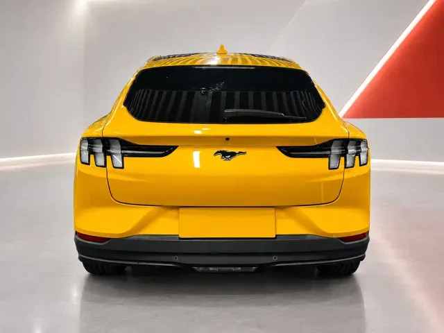 Ford Mustang Mach-E — Фото автомобиля 5