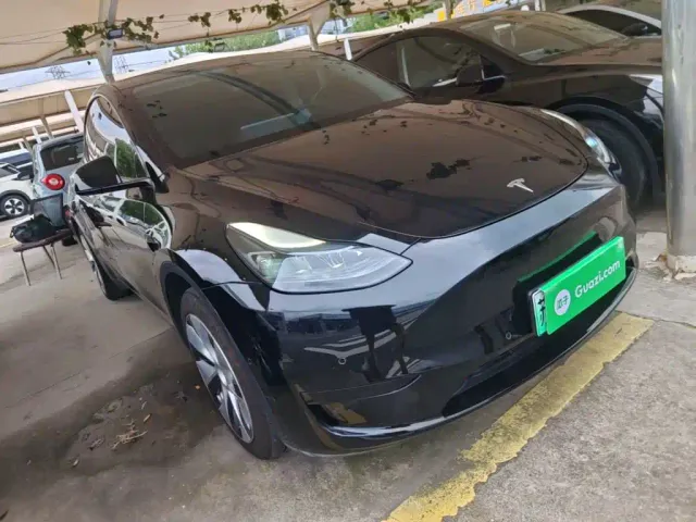 Tesla Model Y — Фото автомобиля 3
