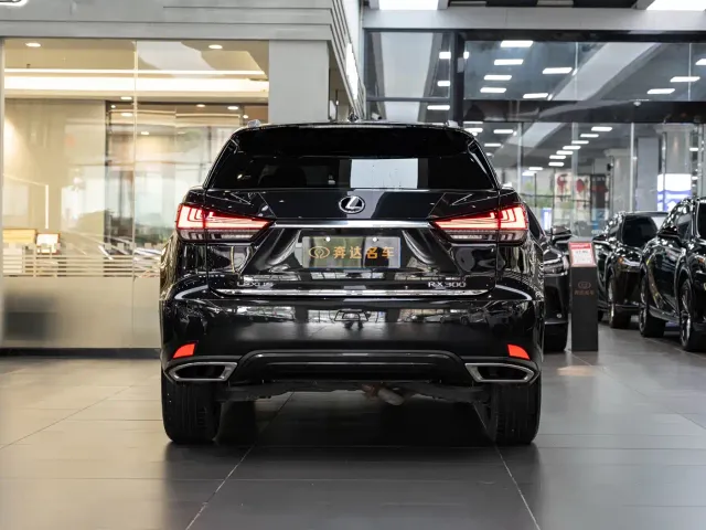 Lexus RX — Фото автомобиля 5