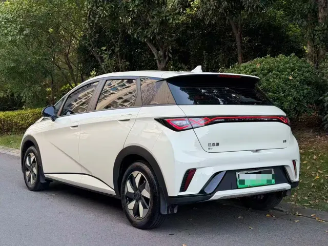 BYD Dolphin — Фото автомобиля 3
