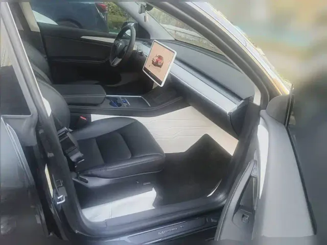 Tesla Model Y — Фото автомобиля 10