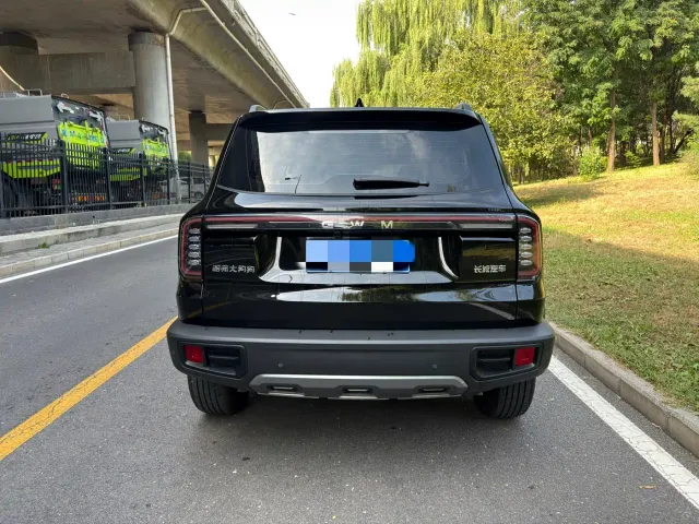 Haval Big Dog — Фото автомобиля 5