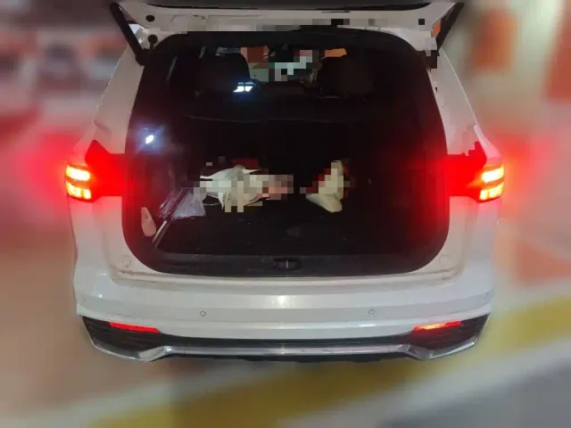 Geely Xingyue L — Фото автомобиля 9
