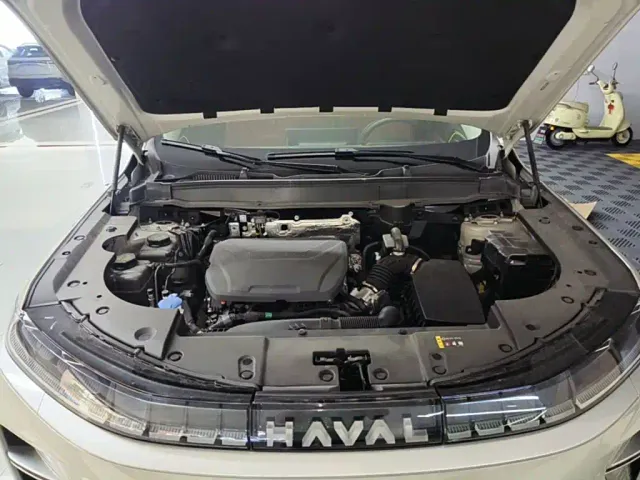 Haval Xiaolong MAX — Фото автомобиля 19