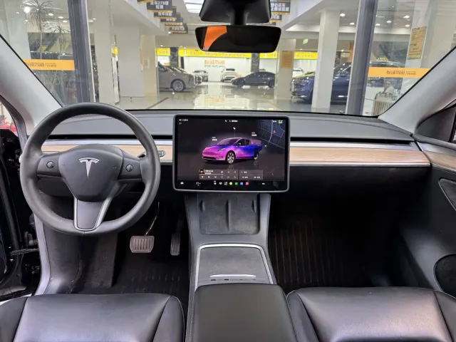 Tesla Model Y — Фото автомобиля 10