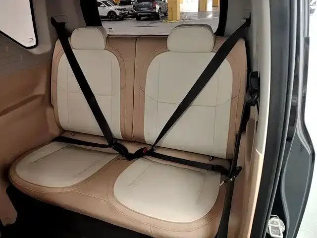 Geely Galaxy Panda 2024 200km Panda Kart — Фото автомобиля 13
