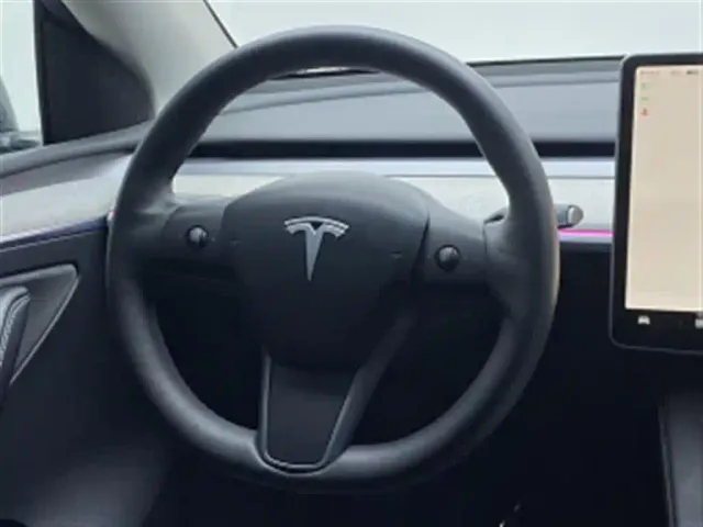 Tesla Model Y — Фото автомобиля 6
