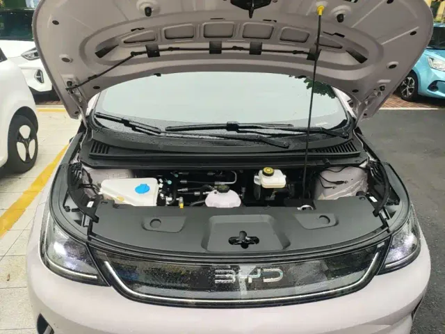 BYD Dolphin — Фото автомобиля 19