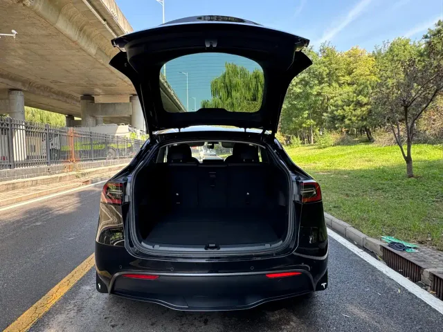 Tesla Model Y — Фото автомобиля 15