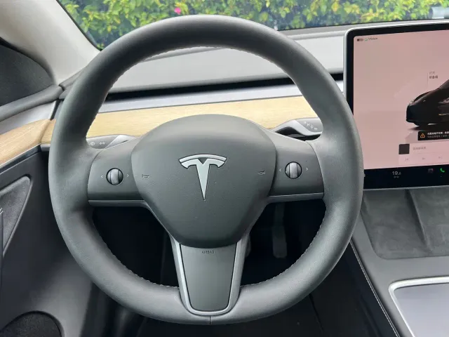 Tesla Model Y — Фото автомобиля 8
