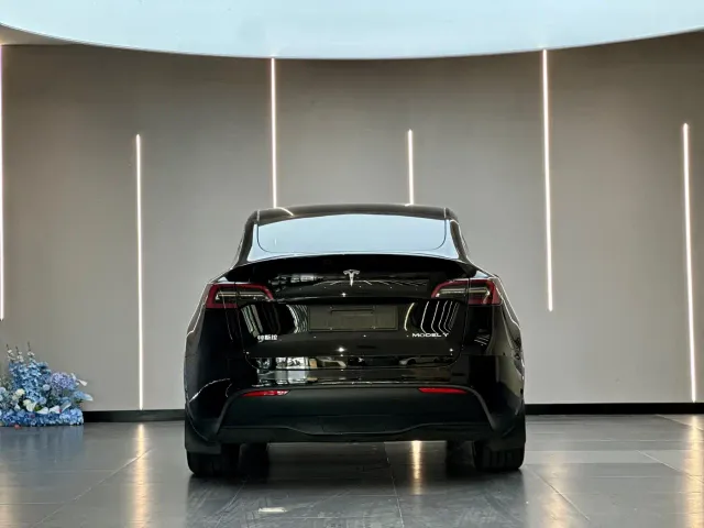 Tesla Model Y — Фото автомобиля 9
