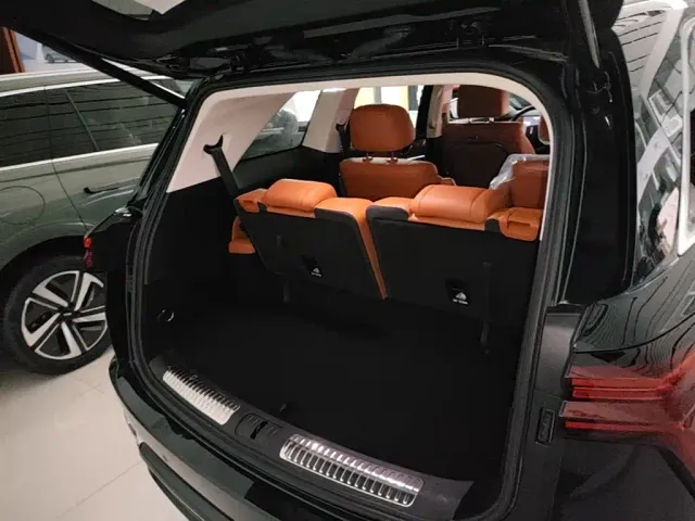 Wey Lanshan — Фото автомобиля 18