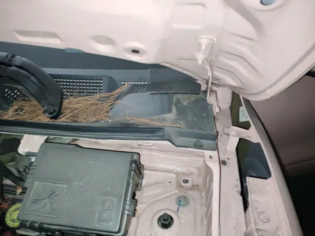 Dongfeng Nano BOX — Фото автомобиля 22