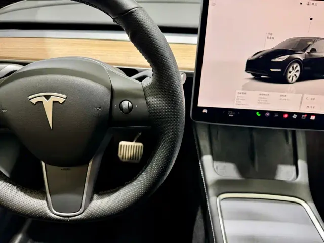 Tesla Model Y — Фото автомобиля 19