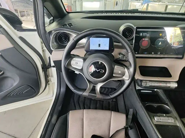 BYD Dolphin — Фото автомобиля 10