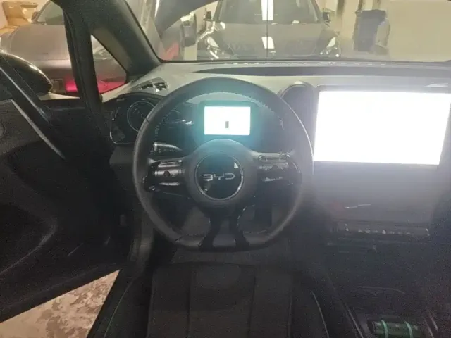 BYD Dolphin — Фото автомобиля 10