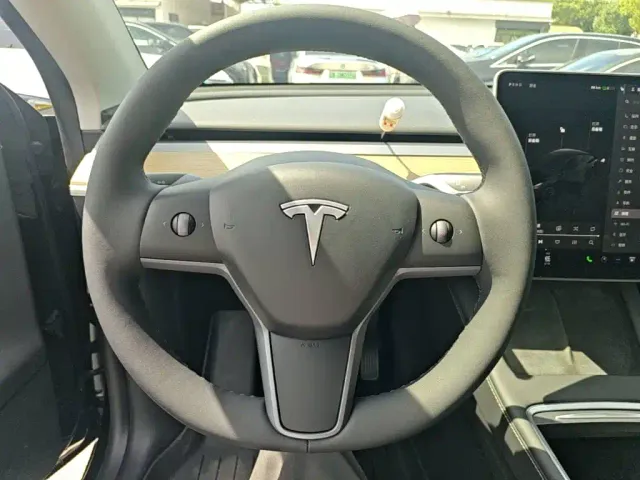 Tesla Model Y — Фото автомобиля 10