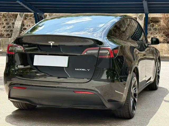 Tesla Model Y — Фото автомобиля 9
