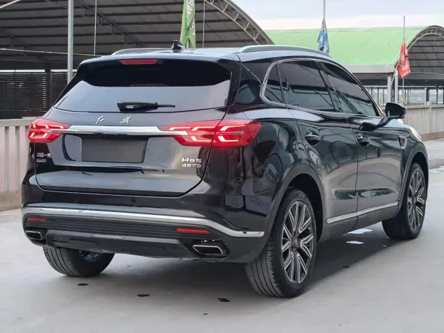 Hongqi Hongqi HS5 2022 2.0T Smart Connect Flagship AWD Edition — Фото автомобиля 6