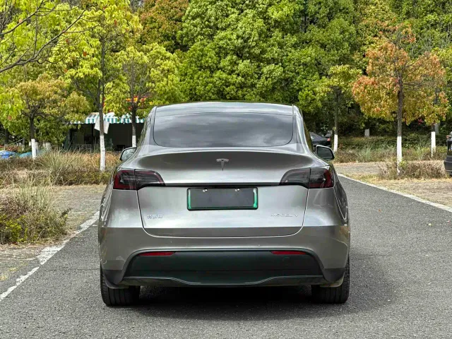Tesla Model Y — Фото автомобиля 3