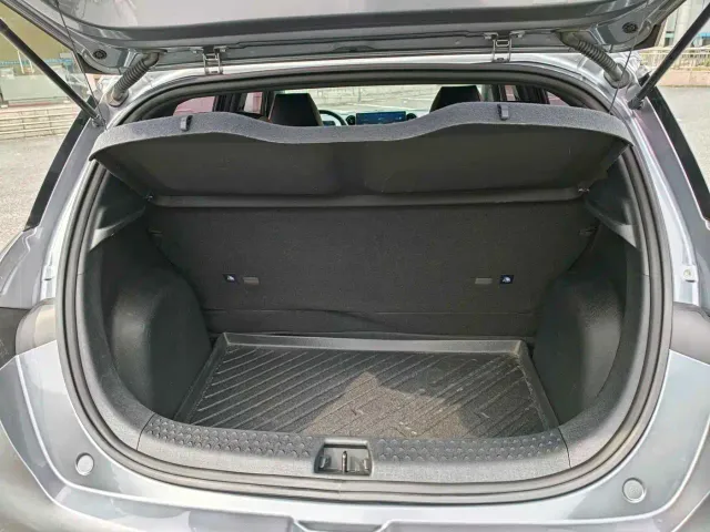 BYD Dolphin — Фото автомобиля 14