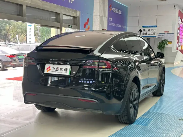 Tesla Model X 2023 Dual Motor All-Wheel Drive Edition — Фото автомобиля 13