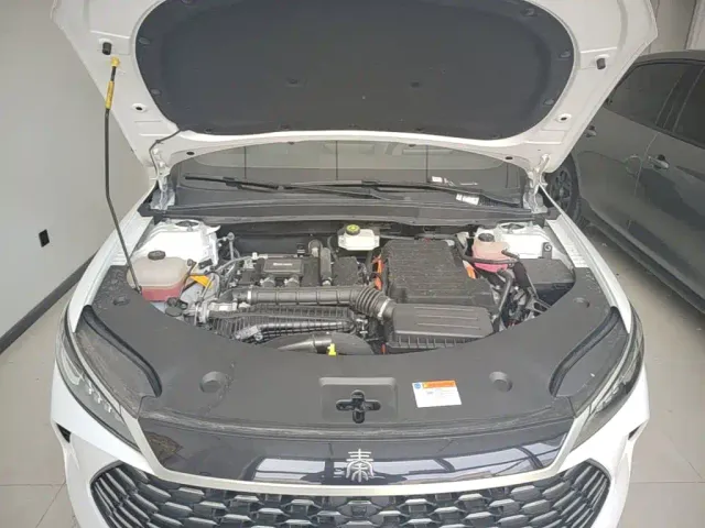 BYD Qin PLUS — Фото автомобиля 19