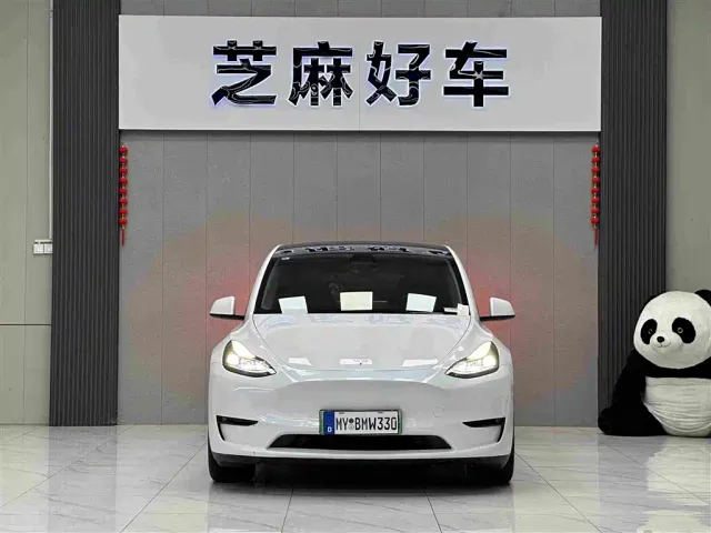 Tesla Model Y — Фото автомобиля 2