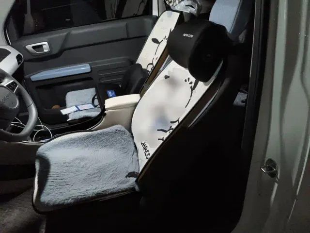 Geely Panda — Фото автомобиля 13