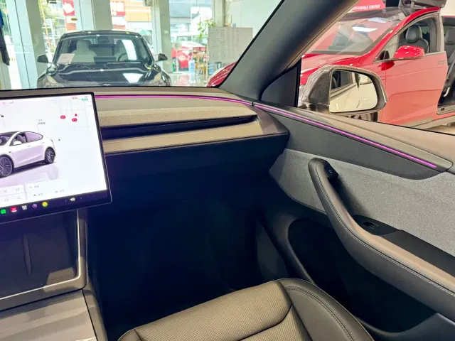 Tesla Model Y — Фото автомобиля 6