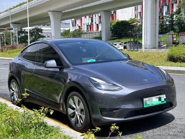Tesla Model Y — Фото автомобиля 2