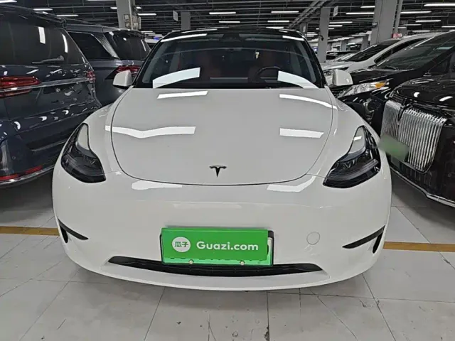 Tesla Model Y — Фото автомобиля 2