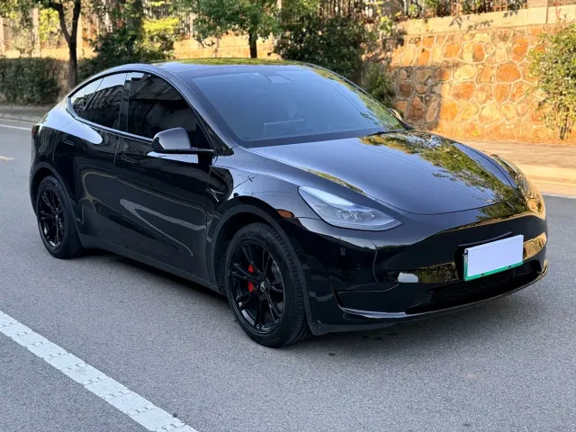 Tesla Model Y — Фото автомобиля 3