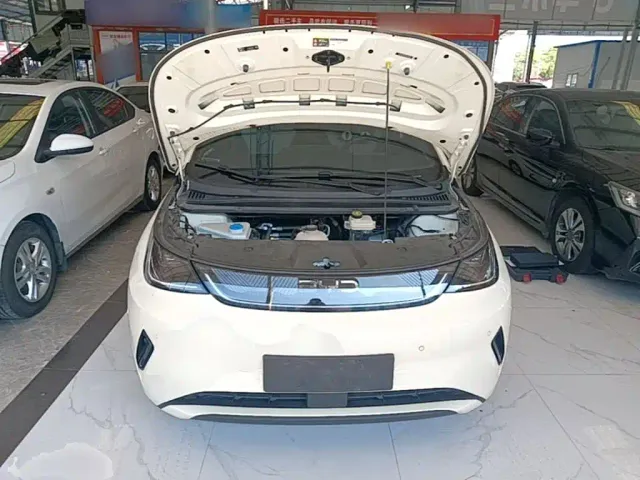 BYD Dolphin — Фото автомобиля 19