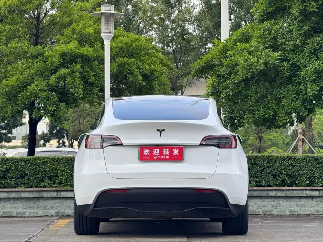 Tesla Model Y — Фото автомобиля 5