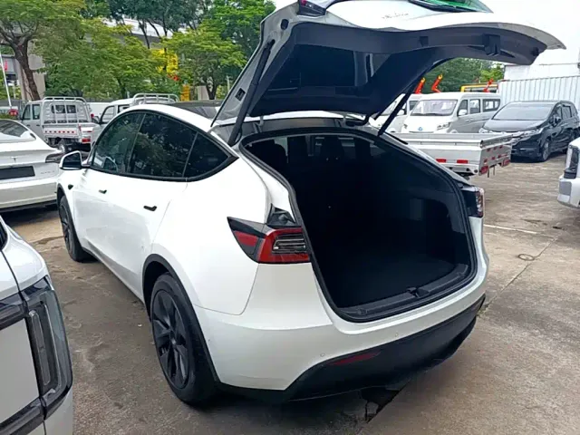 Tesla Model Y — Фото автомобиля 4