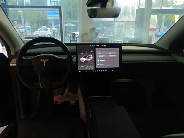 Tesla Model Y — Фото автомобиля 11